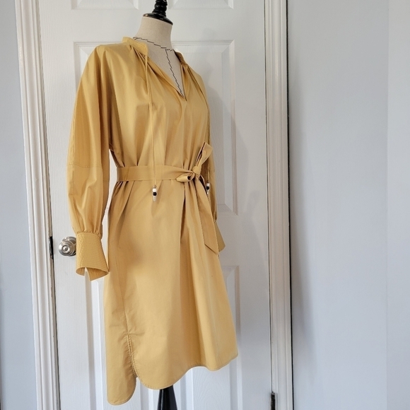 Boss Dapera Poplin Sheath Dress - Picture 6 of 11